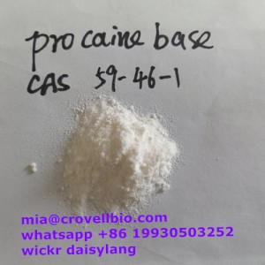 Procaine base CAS 59-46-1 powder supplier in China ( mia@crovellbio.com whatsapp +86 19930503252